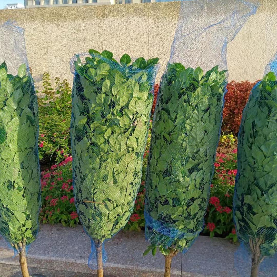 Bonsai Garden Pot - 10m 30m 50m Flower pot protection