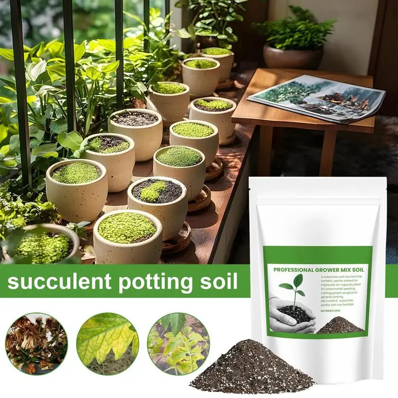 Succulent Soil Potting Mix Aer - огляд і ціна Bonsai Garden Pot