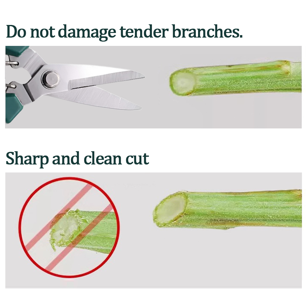 Home-use pruning tools for bon - огляд і ціна Bonsai Garden Design