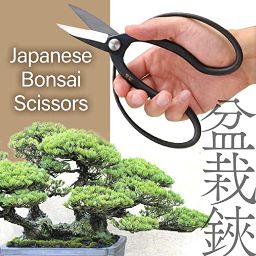 Japanese Suiryu Bonsai Scissor - огляд і ціна Japan Bonsai Garden