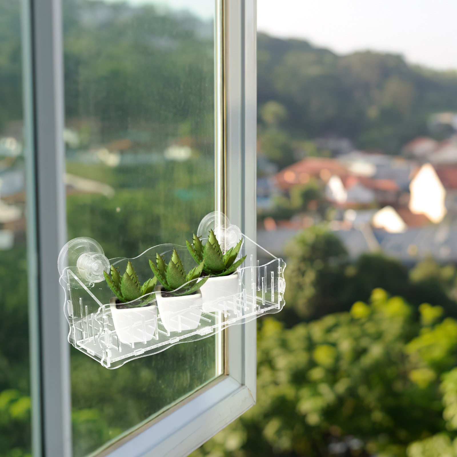 Suction Cup Planter Acrylic Tr - огляд і ціна Bonsai Garden Pot